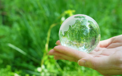 サステナビリティマネジメント